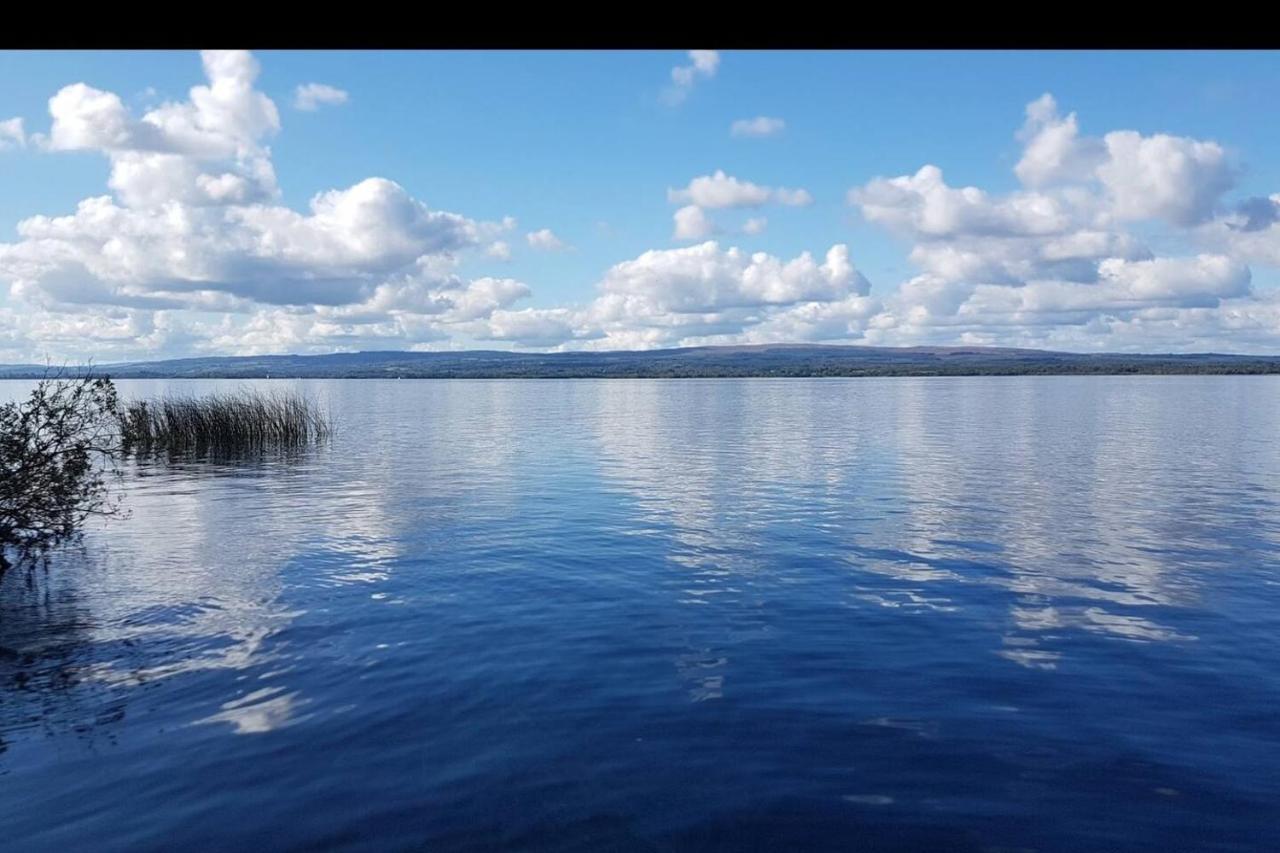 Stunning Log Cabin On The Lake Portroe Eksteriør bilde